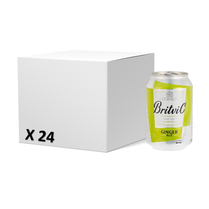 Britvic Ginger Ale 300 Ml Can x 24