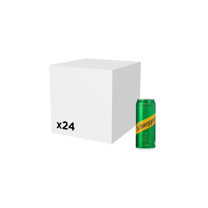 علبة شويبس جينجر إيل - 300 مل × 24