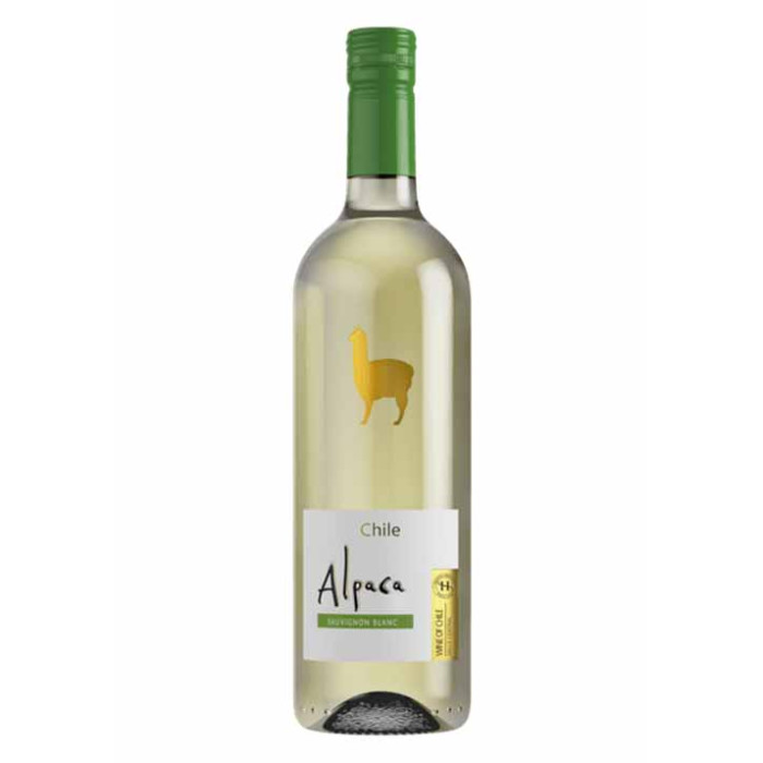 Alpaca Sauvignon Blanc, Central Valley, Chile 75cl Bottle