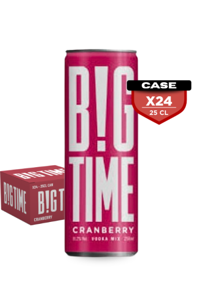Big Time Vodka Mix Cranberry 25cl Can x24 - Compare prices in UAE