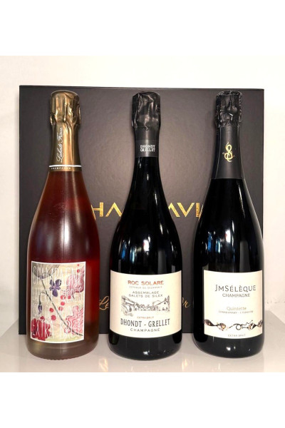 Champavin - The connoisseur