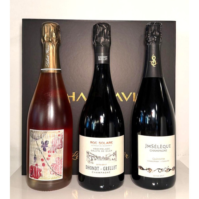 Champavin - The connoisseur