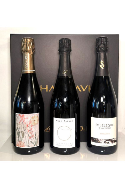 Champavin - Discovery Collection