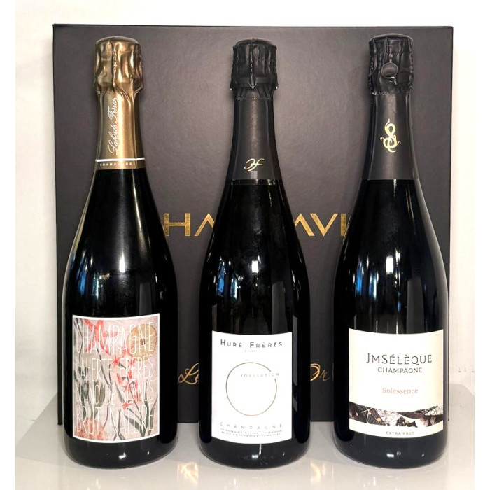 Champavin - Discovery Collection