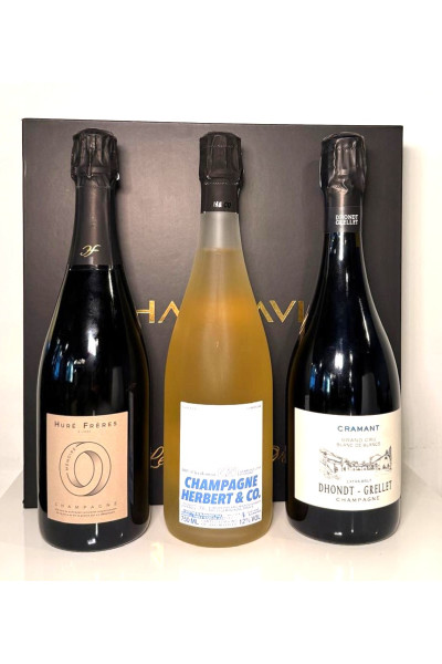 Champavin - Gran Cru Experience