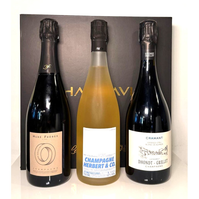 Champavin - Gran Cru Experience