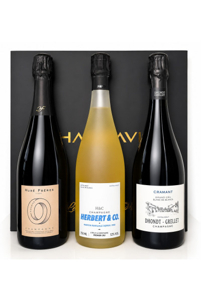 Champavin - Gran Cru Experience