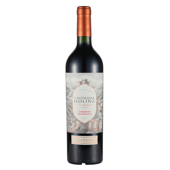 Cabernet Sauvignon, Castillo De Molina, Cachapoal Valley, Chile 75Cl Bottle