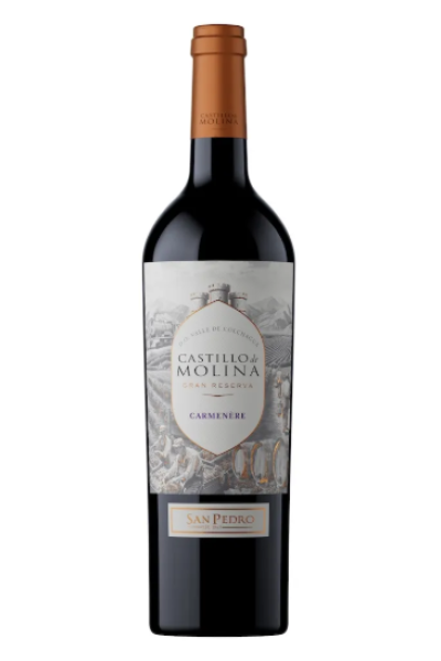 Carmenere, Castillo de Molina, Maule Valley, Chile 75Cl Bottle