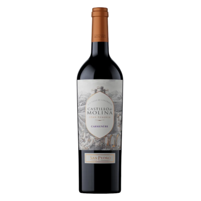 Carmenere, Castillo de Molina, Maule Valley, Chile 75Cl Bottle