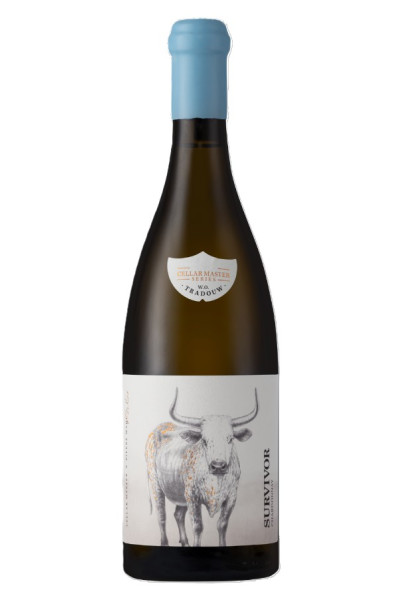 Survivor Cellarmasters Series Chardonnay,  W.O Tradouw, SA 75 Cl