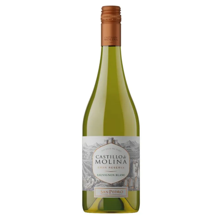 Sauvignon Blanc, Castillo de Molina, Elqui Valley, Chile 75cl Bottle