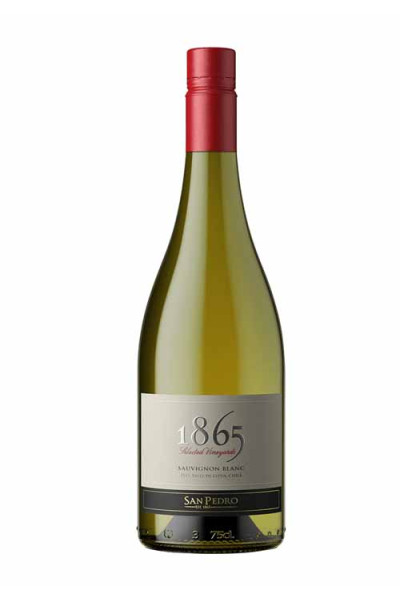 1865 Sauvignon Blanc 75cl Bottle